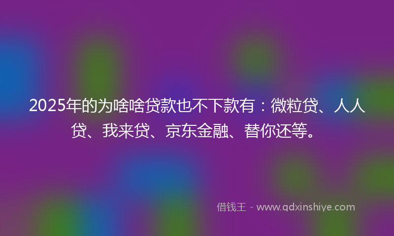 2025年的为啥啥贷款也不下款有：微粒贷、人人贷、我来贷、京东金融、替你还等。