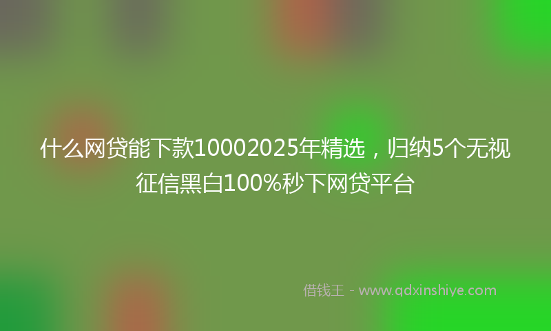 什么网贷能下款10002025年精选，归纳5个无视征信黑白100%秒下网贷平台