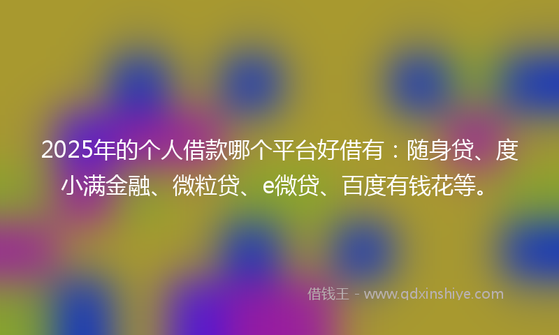 2025年的个人借款哪个平台好借有：随身贷、度小满金融、微粒贷、e微贷、百度有钱花等。
