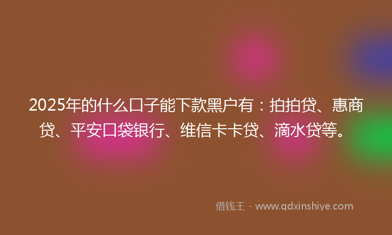2025年的什么口子能下款黑户有：拍拍贷、惠商贷、平安口袋银行、维信卡卡贷、滴水贷等。