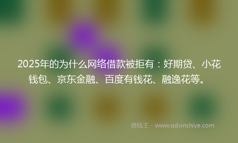 2025年的为什么网络借款被拒有：好期贷、小花钱包、京东金融、百度有钱花、融逸花等。