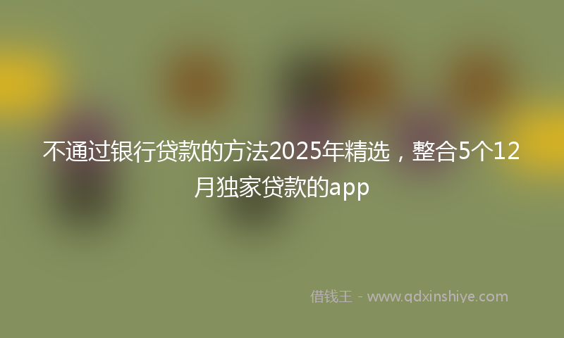 不通过银行贷款的方法2025年精选，整合5个12月独家贷款的app