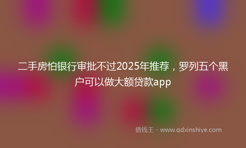 二手房怕银行审批不过2025年推荐，罗列五个黑户可以做大额贷款app