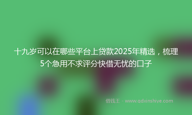 十九岁可以在哪些平台上贷款2025年精选，梳理5个急用不求评分快借无忧的口子