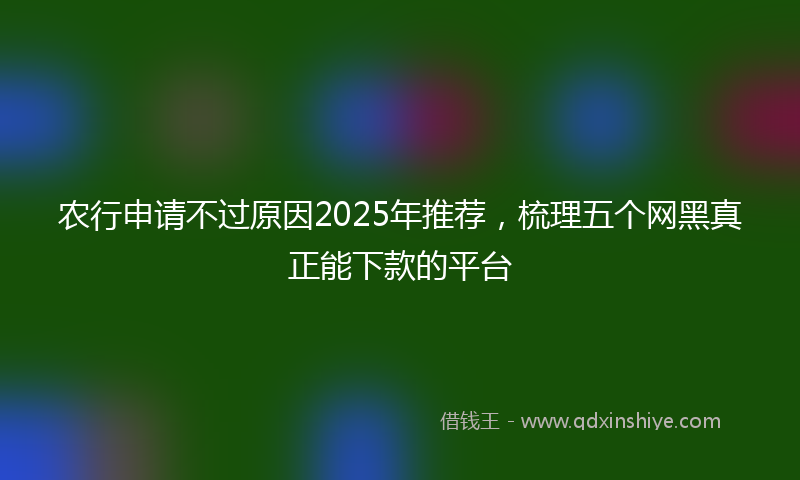 农行申请不过原因2025年推荐，梳理五个网黑真正能下款的平台