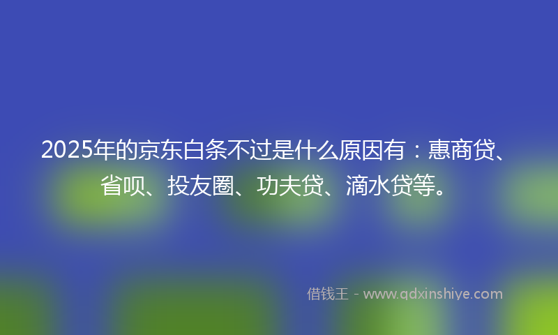 2025年的京东白条不过是什么原因有：惠商贷、省呗、投友圈、功夫贷、滴水贷等。