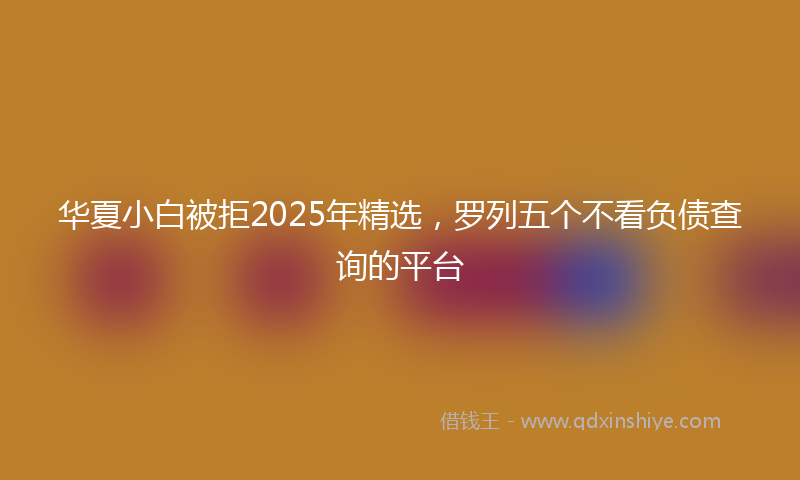 华夏小白被拒2025年精选，罗列五个不看负债查询的平台