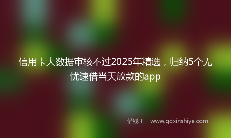 信用卡大数据审核不过2025年精选，归纳5个无忧速借当天放款的app