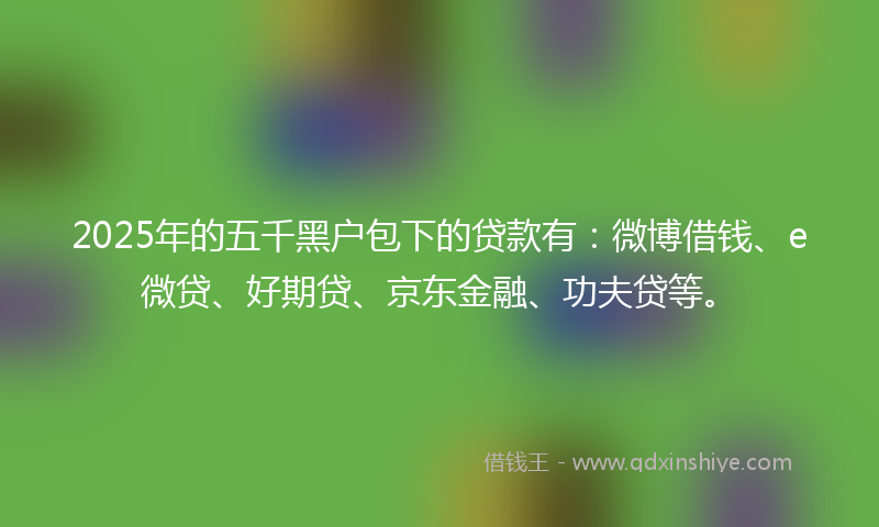 2025年的五千黑户包下的贷款有：微博借钱、e微贷、好期贷、京东金融、功夫贷等。