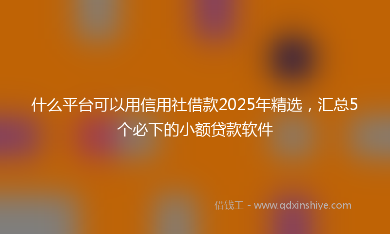什么平台可以用信用社借款2025年精选，汇总5个必下的小额贷款软件