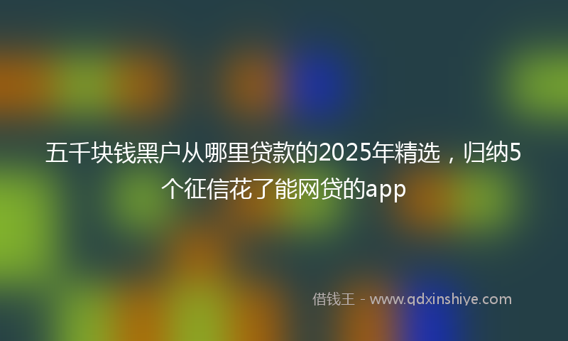 五千块钱黑户从哪里贷款的2025年精选，归纳5个征信花了能网贷的app