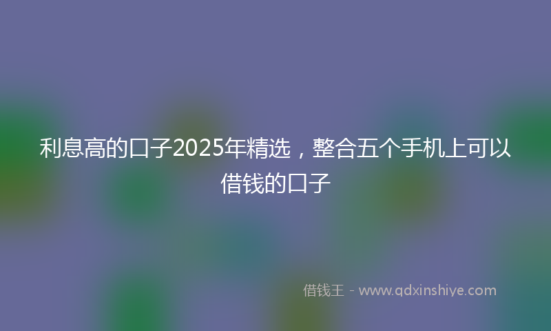 利息高的口子2025年精选，整合五个手机上可以借钱的口子