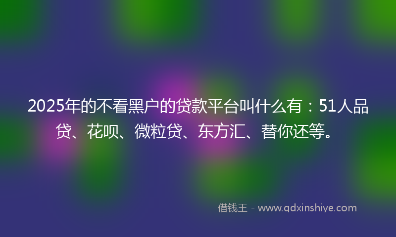 2025年的不看黑户的贷款平台叫什么有：51人品贷、花呗、微粒贷、东方汇、替你还等。