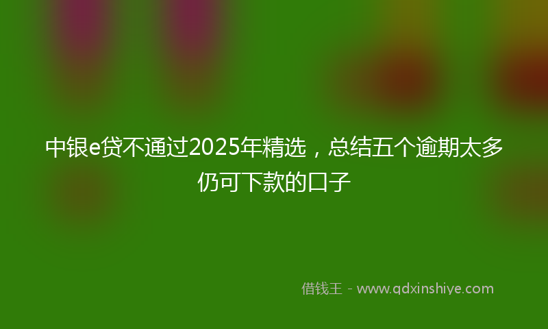 中银e贷不通过2025年精选,总结五个逾期太多仍可下款的口子
