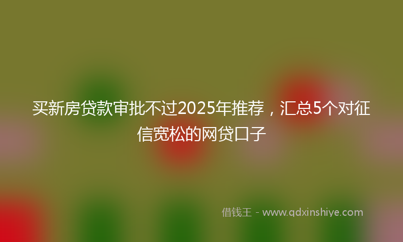 买新房贷款审批不过2025年推荐，汇总5个对征信宽松的网贷口子