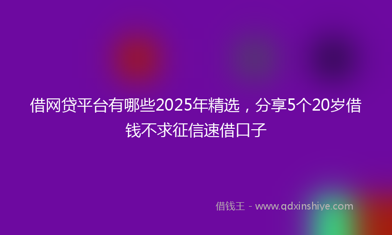 借网贷平台有哪些2025年精选，分享5个20岁借钱不求征信速借口子