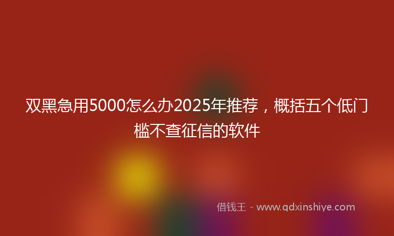 双黑急用5000怎么办2025年推荐，概括五个低门槛不查征信的软件