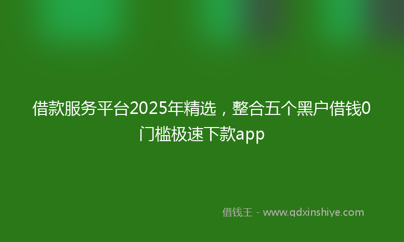 借款服务平台2025年精选，整合五个黑户借钱0门槛极速下款app