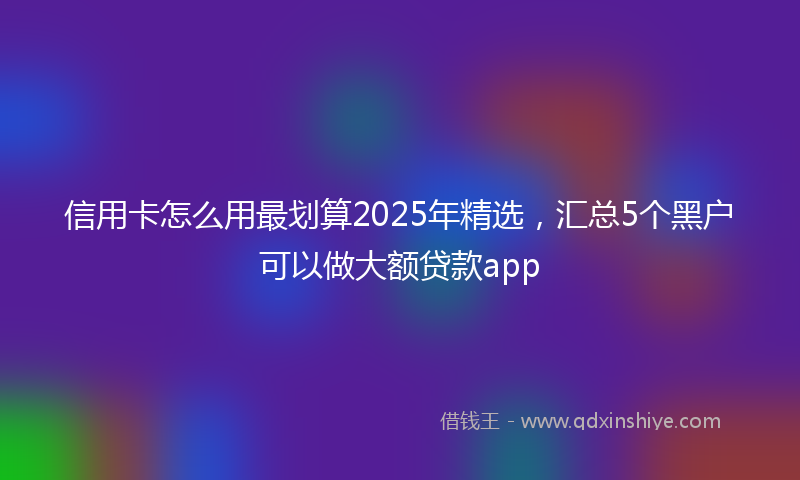 信用卡怎么用最划算2025年精选，汇总5个黑户可以做大额贷款app