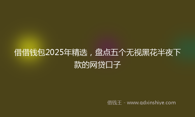 借借钱包2025年精选，盘点五个无视黑花半夜下款的网贷口子