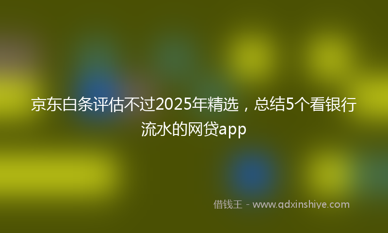 京东白条评估不过2025年精选,总结5个看银行流水的网贷app