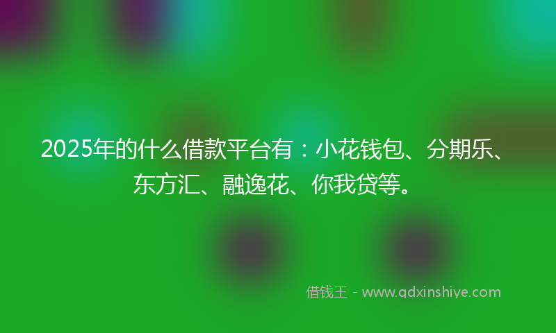 2025年的什么借款平台有：小花钱包、分期乐、东方汇、融逸花、你我贷等。