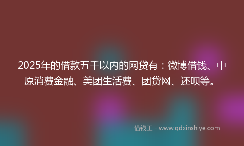 2025年的借款五千以内的网贷有：微博借钱、中原消费金融、美团生活费、团贷网、还呗等。