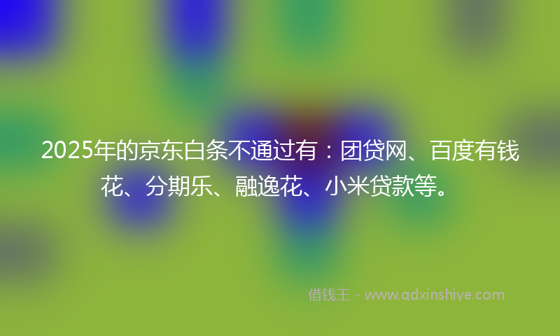 2025年的京东白条不通过有：团贷网、百度有钱花、分期乐、融逸花、小米贷款等。
