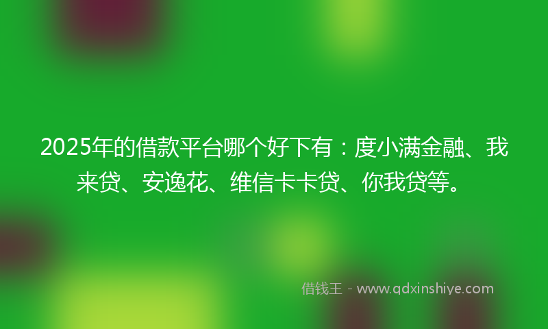 2025年的借款平台哪个好下有：度小满金融、我来贷、安逸花、维信卡卡贷、你我贷等。