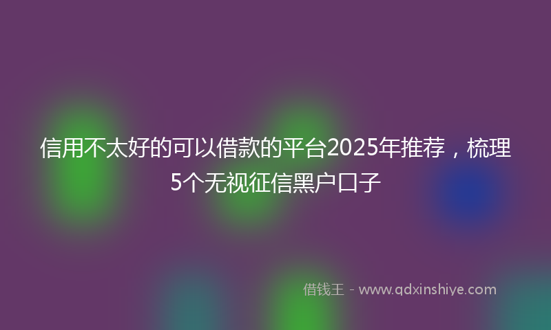 信用不太好的可以借款的平台2025年推荐，梳理5个无视征信黑户口子