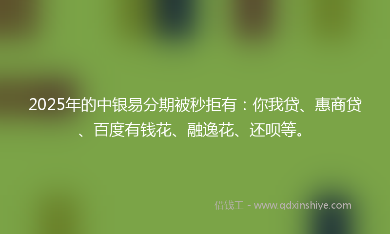 2025年的中银易分期被秒拒有：你我贷、惠商贷、百度有钱花、融逸花、还呗等。