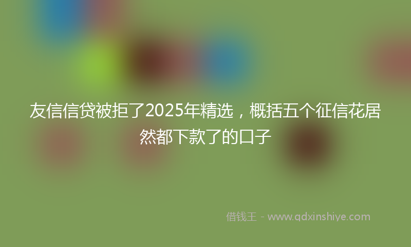 友信信贷被拒了2025年精选，概括五个征信花居然都下款了的口子