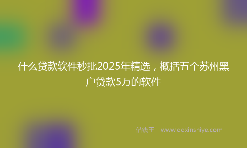 什么贷款软件秒批2025年精选，概括五个苏州黑户贷款5万的软件