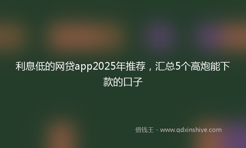 利息低的网贷app2025年推荐，汇总5个高炮能下款的口子