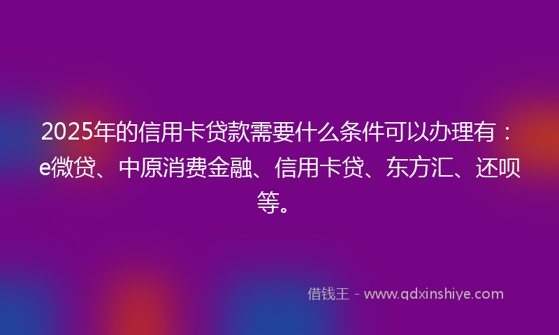 2025年的信用卡贷款需要什么条件可以办理有：e微贷、中原消费金融、信用卡贷、东方汇、还呗等。