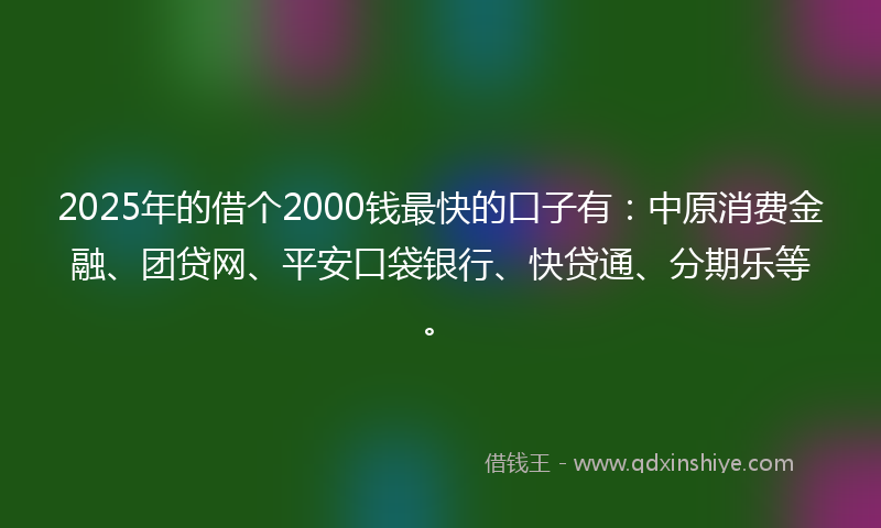 2025年的借个2000钱最快的口子有：中原消费金融、团贷网、平安口袋银行、快贷通、分期乐等。