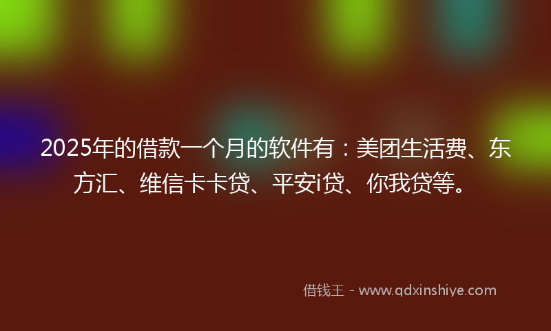 2025年的借款一个月的软件有：美团生活费、东方汇、维信卡卡贷、平安i贷、你我贷等。