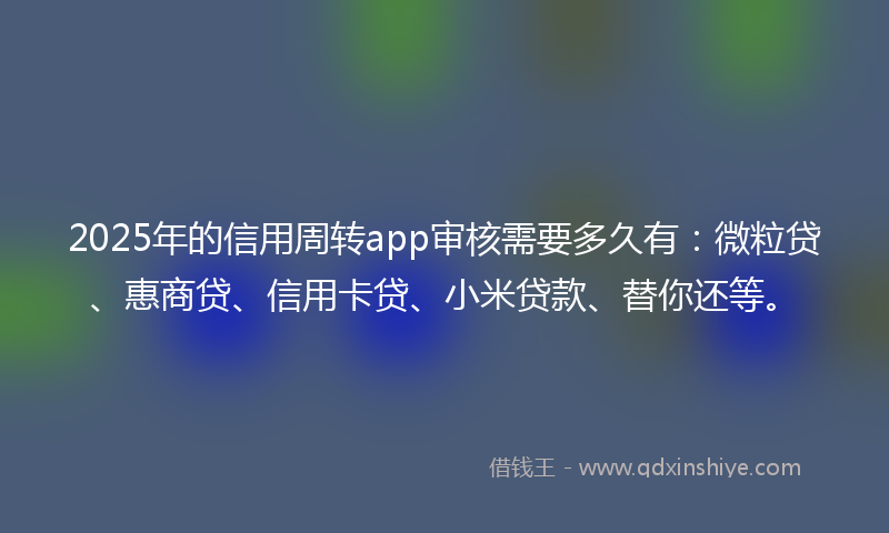2025年的信用周转app审核需要多久有：微粒贷、惠商贷、信用卡贷、小米贷款、替你还等。