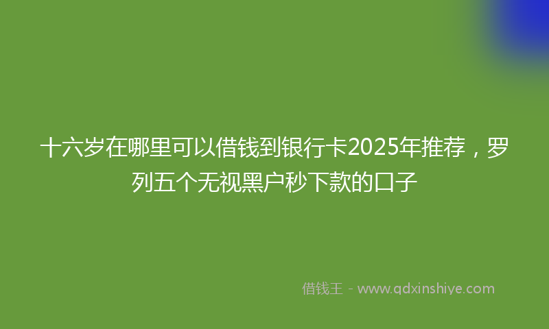 十六岁在哪里可以借钱到银行卡2025年推荐，罗列五个无视黑户秒下款的口子