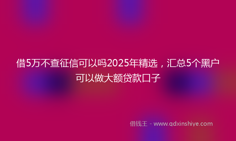 借5万不查征信可以吗2025年精选，汇总5个黑户可以做大额贷款口子