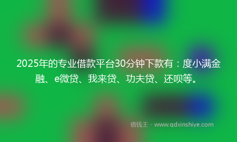 2025年的专业借款平台30分钟下款有：度小满金融、e微贷、我来贷、功夫贷、还呗等。