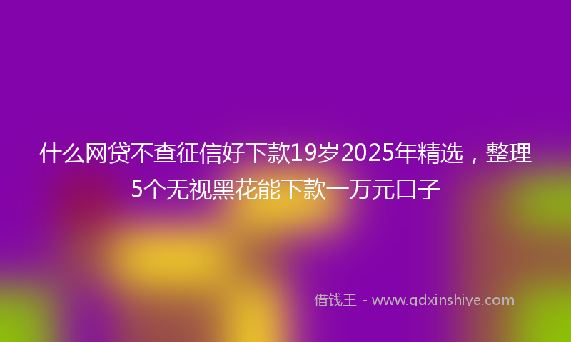 什么网贷不查征信好下款19岁2025年精选，整理5个无视黑花能下款一万元口子