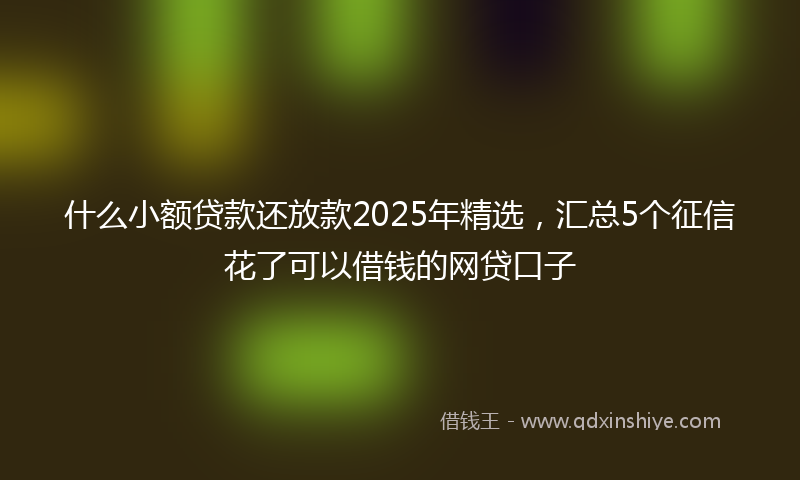 什么小额贷款还放款2025年精选，汇总5个征信花了可以借钱的网贷口子