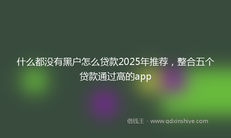 什么都没有黑户怎么贷款2025年推荐，整合五个贷款通过高的app