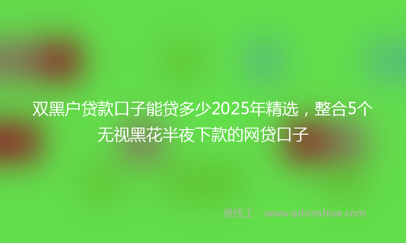 双黑户贷款口子能贷多少2025年精选，整合5个无视黑花半夜下款的网贷口子
