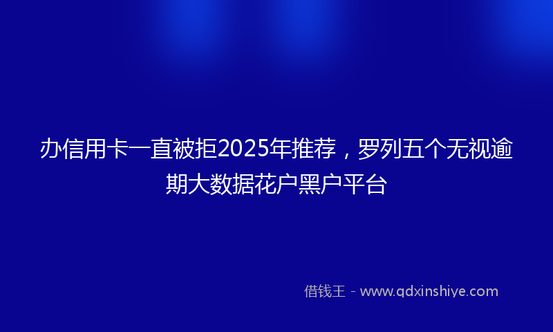 办信用卡一直被拒2025年推荐，罗列五个无视逾期大数据花户黑户平台