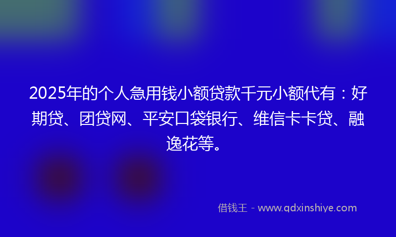 2025年的个人急用钱小额贷款千元小额代有：好期贷、团贷网、平安口袋银行、维信卡卡贷、融逸花等。