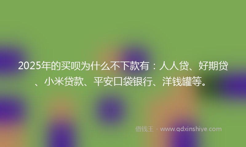 2025年的买呗为什么不下款有：人人贷、好期贷、小米贷款、平安口袋银行、洋钱罐等。