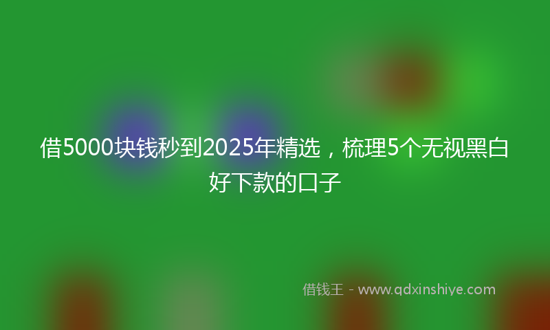 借5000块钱秒到2025年精选，梳理5个无视黑白好下款的口子