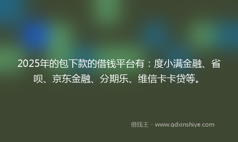 2025年的包下款的借钱平台有：度小满金融、省呗、京东金融、分期乐、维信卡卡贷等。